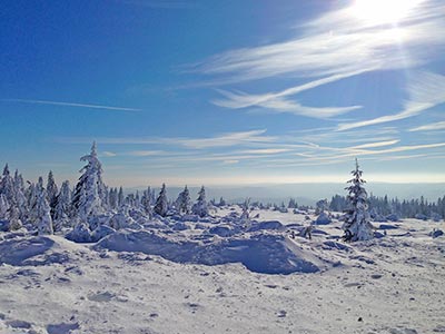 Winterwunderland auf der Schwarzwaldhochstraße (B500)